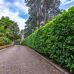 The Camelia, Our With View, Private Bathroom And Dedicated Parking At The Isabella Gasthof 3*